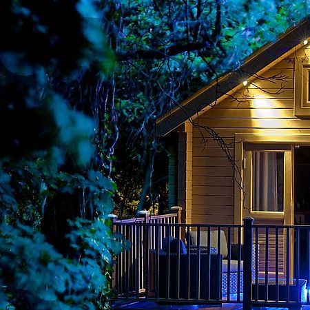 Alum Chine Log Cabin Villa Bournemouth Buitenkant foto