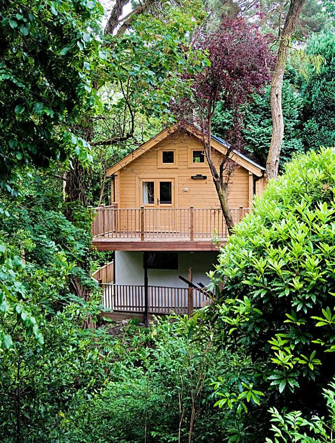 Alum Chine Log Cabin Villa Bournemouth Buitenkant foto